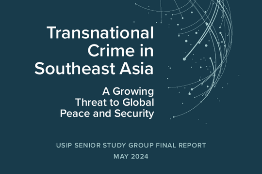 Transnational Crime in Southeast Asia
